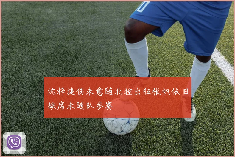 沈梓捷伤未愈随北控出征张帆依旧缺席未随队参赛